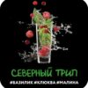DS 24 Shot 25гр Северный ( малина базилик клюква)