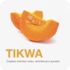 MP 50 Tikwa (Тыква)