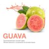 MP 50 Guava (Гуава)