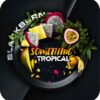 BlackBurn 25гр Something Tropical (Что-то тропическое)