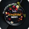 BlackBurn 100гр Something Berry (Что-то ягодное)