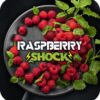 BlackBurn 100гр Raspberry  shock (Кислая Малина)