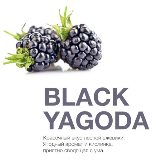 MP 50 Bitter Black yagoda (Ежевика)
