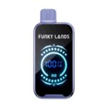 Funky Lands 15000 (Черника роза мята)