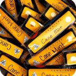 Tangiers NOIR 100гр (30 — Blackthorn)